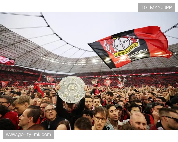 球迷骚乱事件增加，英超加强赛场管理